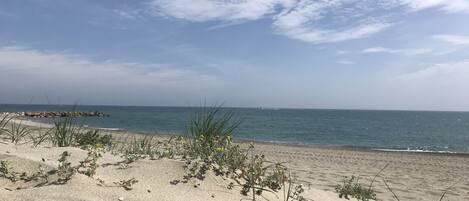 En la playa y camastros