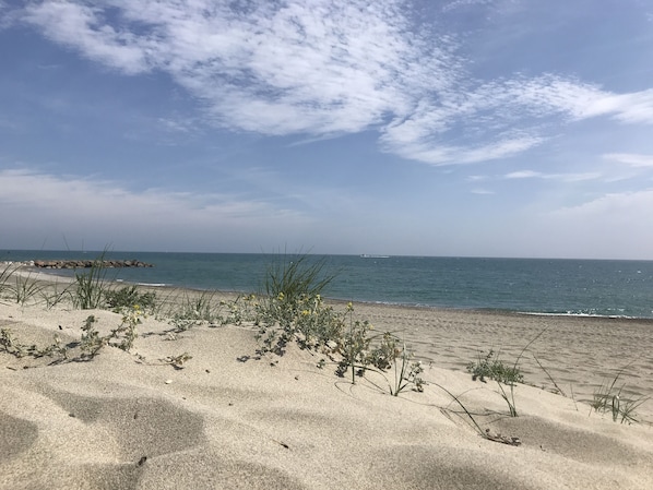 Plage, chaises longues