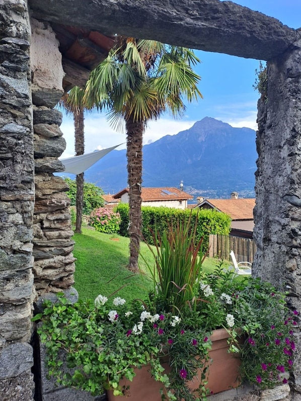 A stone archway framing a garden with a palm tree, potted plants, and a mountain view.