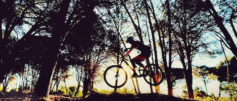 Cyclists can enjoy the scenic trails through the wooded area.