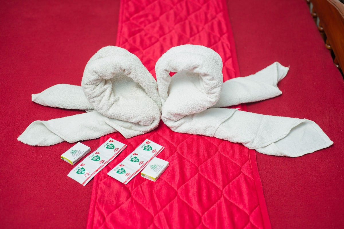 Standard Double Room | Desk, rollaway beds, free WiFi, bed sheets