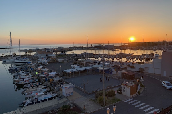 Marina