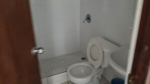 Dusche, Haartrockner, Bidet, HandtĂŒcher