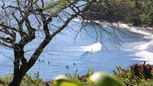 A coastal scene with a tree in the foreground, a sandy beach, and the ocean. - Oceanfront in Hilo Hale Kai Suites Heritage Room - Queen Bed, Private Bath (Hilo)