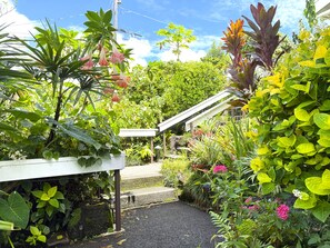 Un jardin avec différentes espèces de plantes et une structure blanche.