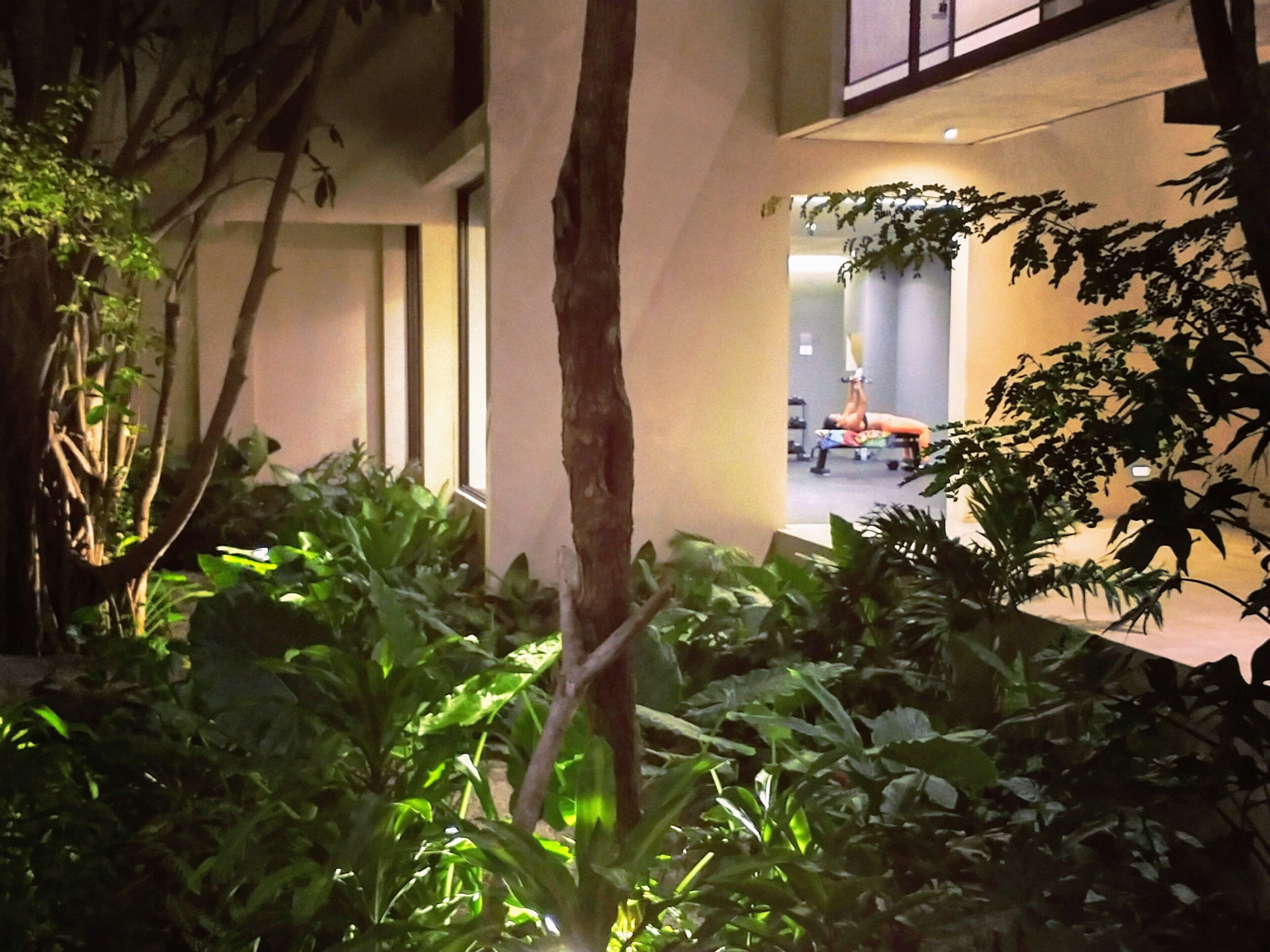 A courtyard with lush greenery, a tree trunk, and a person exercising on a bench.