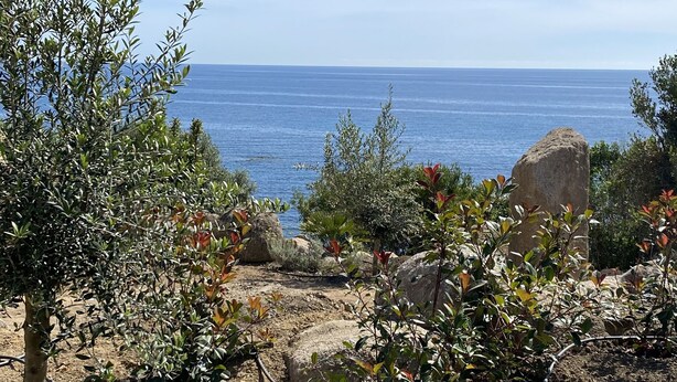 Eine felsige Landschaft mit vereinzelter Vegetation und Blick auf das Meer.