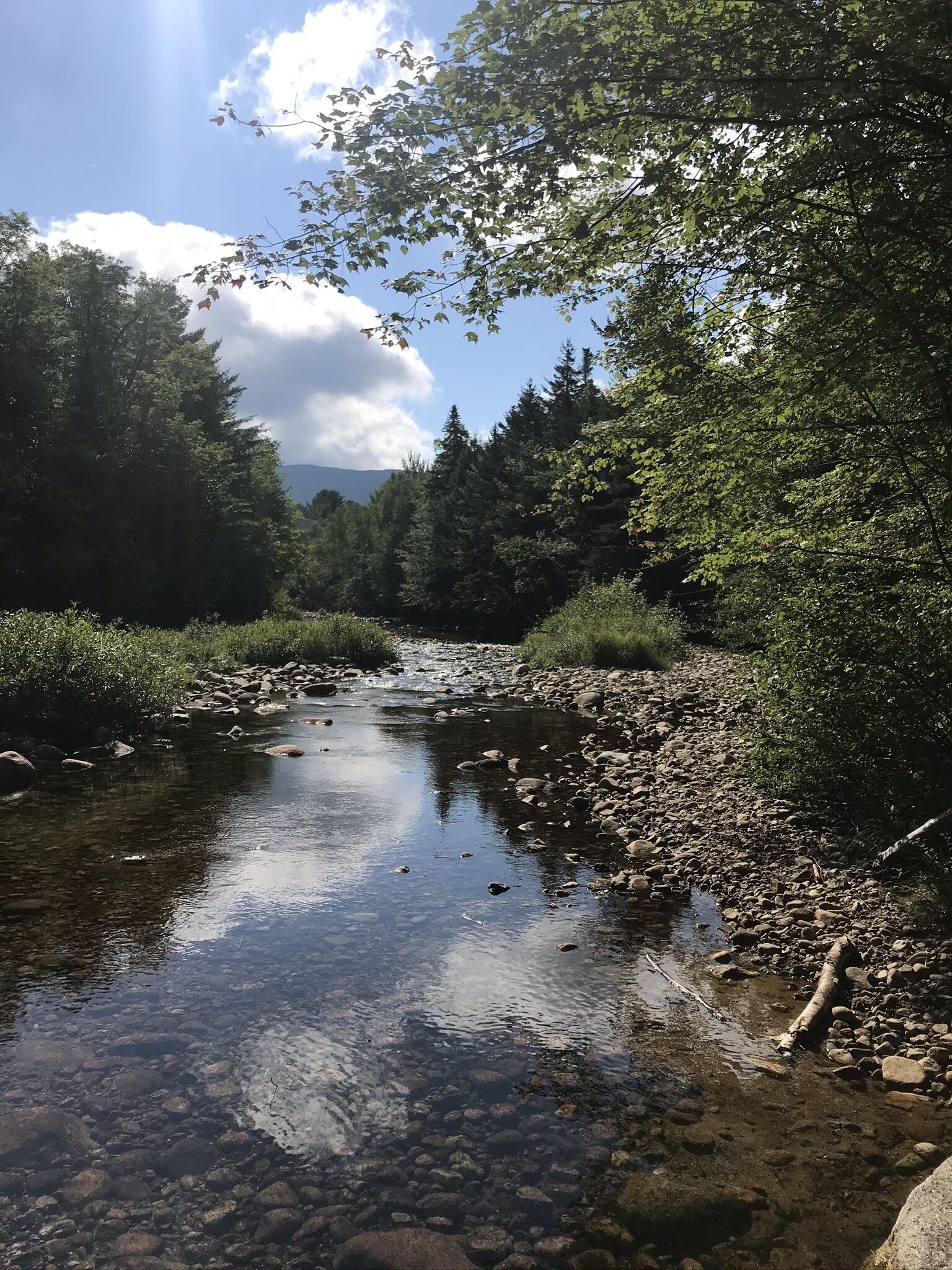 Family Friendly condo nestled in the White Mountains
