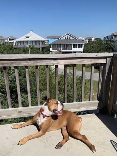 Soundside, 5 min walk to the beach, 6 private decks, shared pool and pickleball