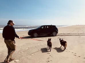 Beach nearby, beach towels