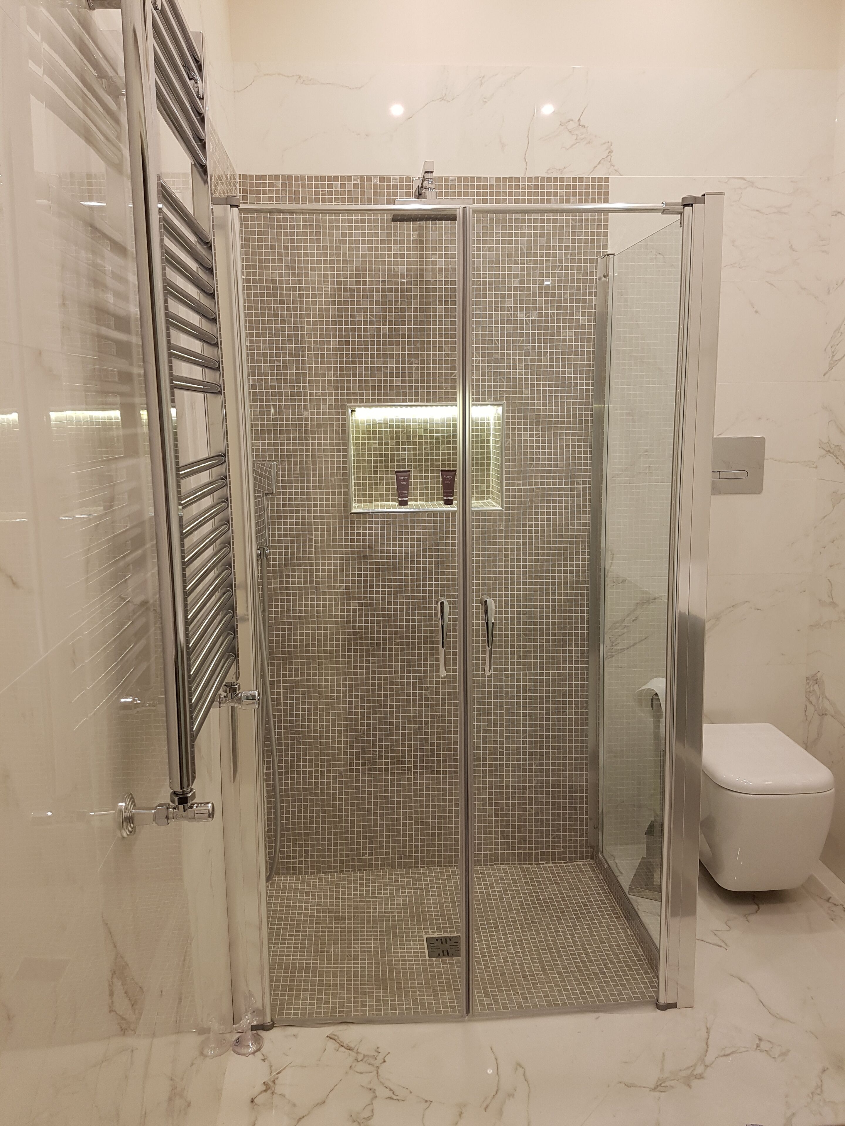 Shower, hair dryer, bidet, towels