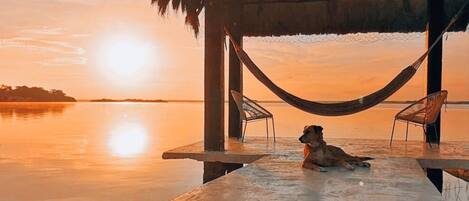 A dog relaxing on a wooden deck with a hammock and chairs, overlooking a calm body of water at sunset.