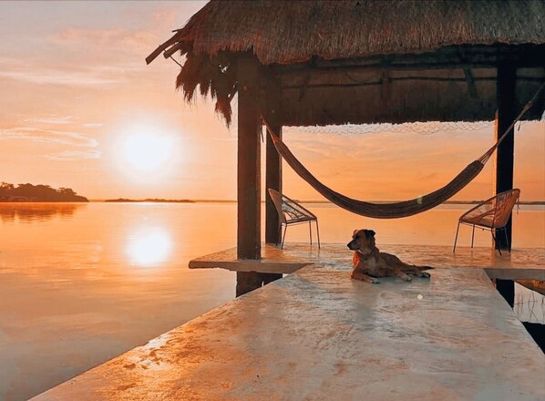 A dog relaxing on a wooden deck with a hammock and chairs, overlooking a calm body of water at sunset.