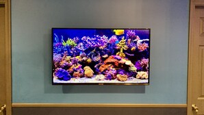 A television mounted on a wall displaying an underwater scene with various corals and fish.