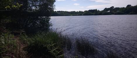 En stilla sjö med tät vegetation av träd på vänster sida och en klar himmel.