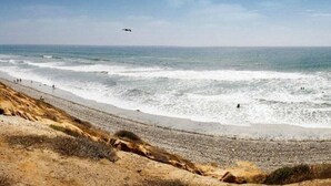 Una spiaggia con cielo sereno, onde e un uccello in volo.