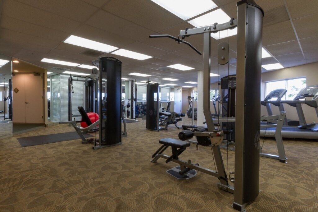 A gym with various exercise equipment, including a treadmill, weight machines, and a punching bag.