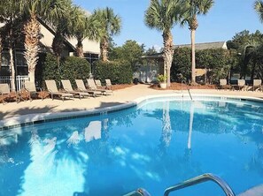 Relax by the pool surrounded by palm trees and lounge chairs.