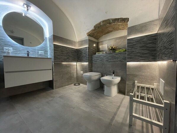 Regadera, secadora de cabello, bidet, toallas 