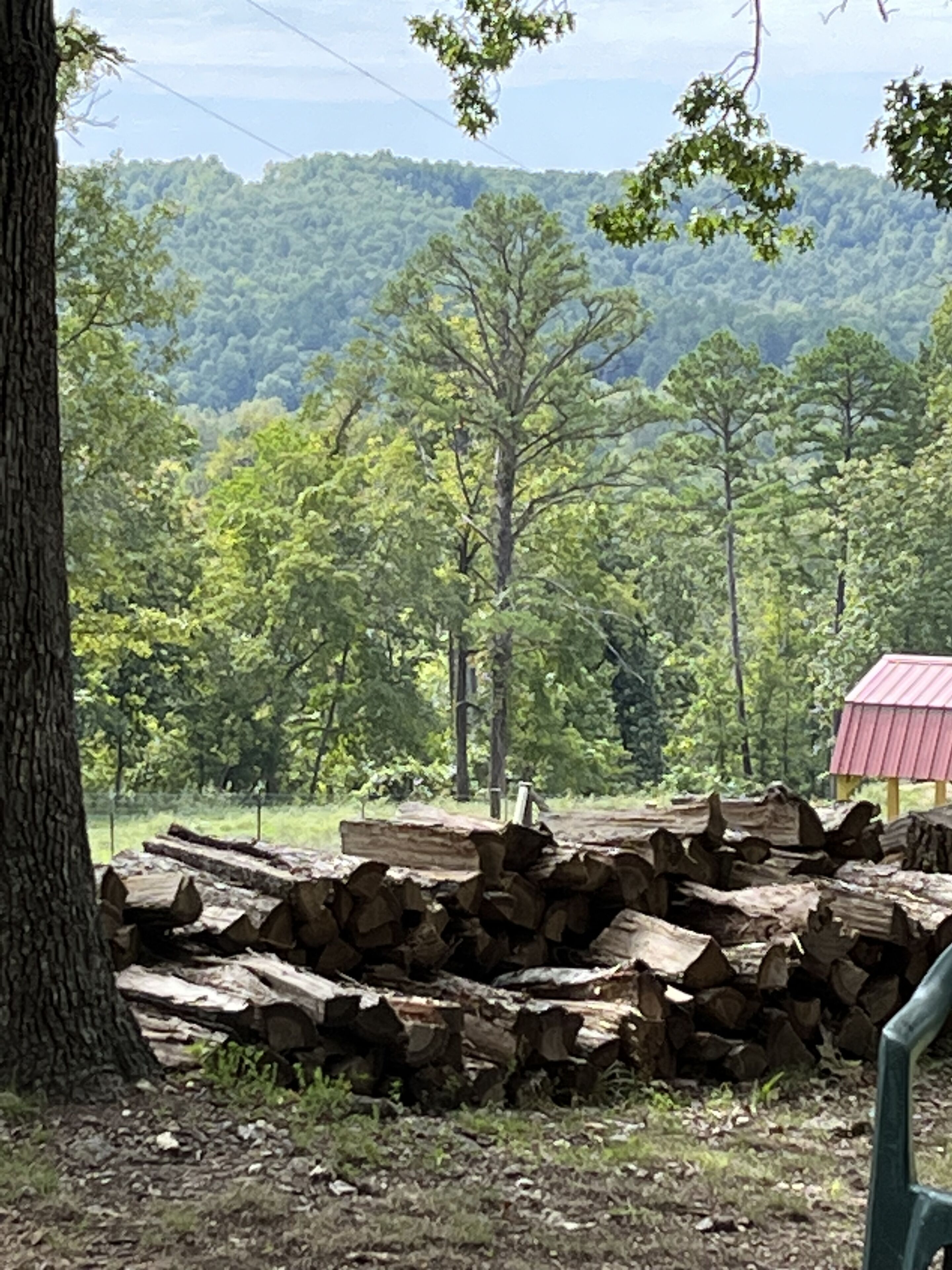 A rural landscape with a pile of logs, a tree, and a red-roofed structure in the background.