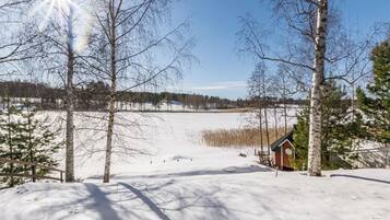 A snowy landscape with a small cabin and birch trees.