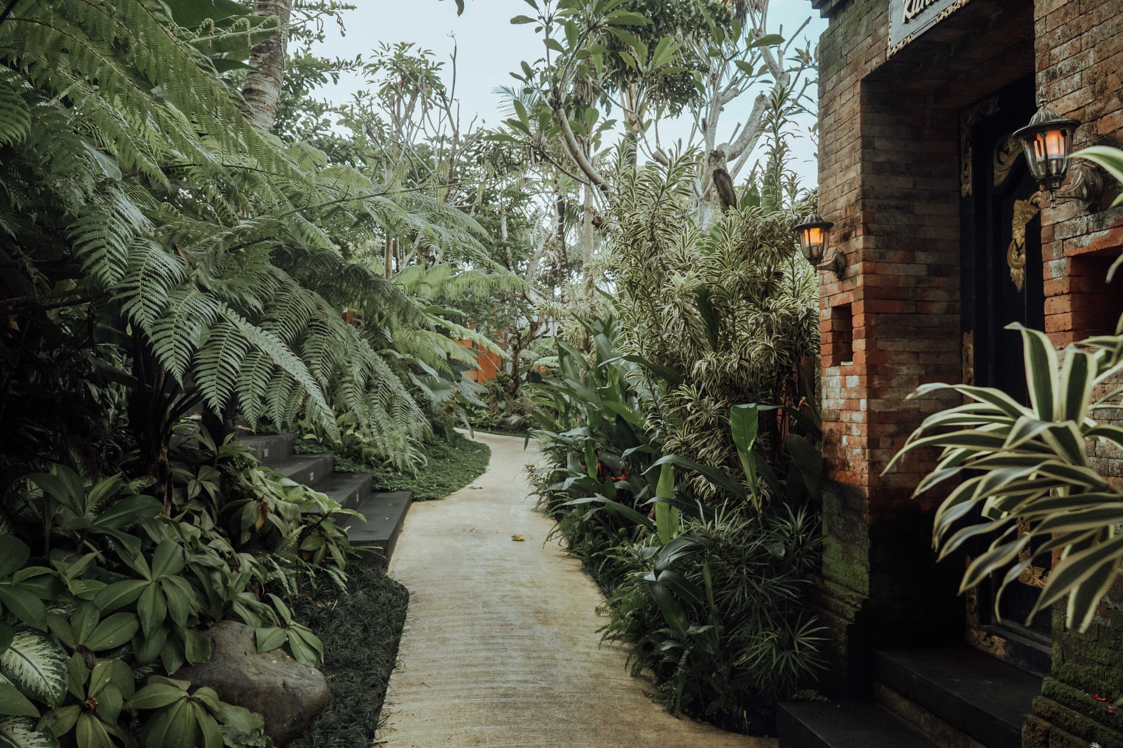 Pemandangan dari kamar