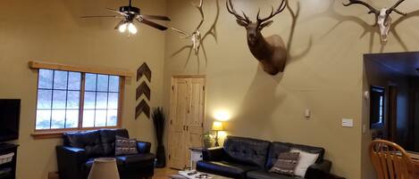 TV connectée, lecteur de DVD, livres