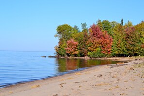 A beach with a calm sea, sandy shore, and trees with autumn foliage.