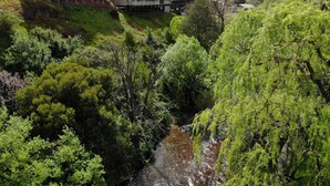 Un quartiere residenziale con case su palafitte, immerso nel verde e attraversato da un piccolo ruscello.