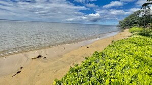 Een strand met helder water, een zandstrand en groene begroeiing.