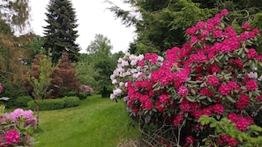 A garden with a variety of trees and flowering shrubs. - Ferienwohnung Gartenblick (Worpswede)