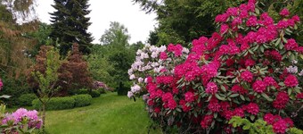 Ferienwohnung Gartenblick