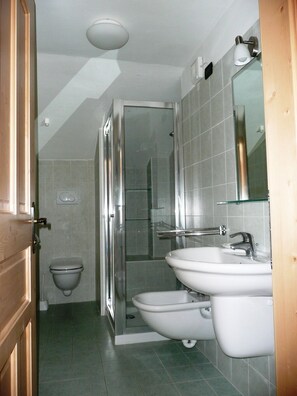 Shower, hair dryer, bidet