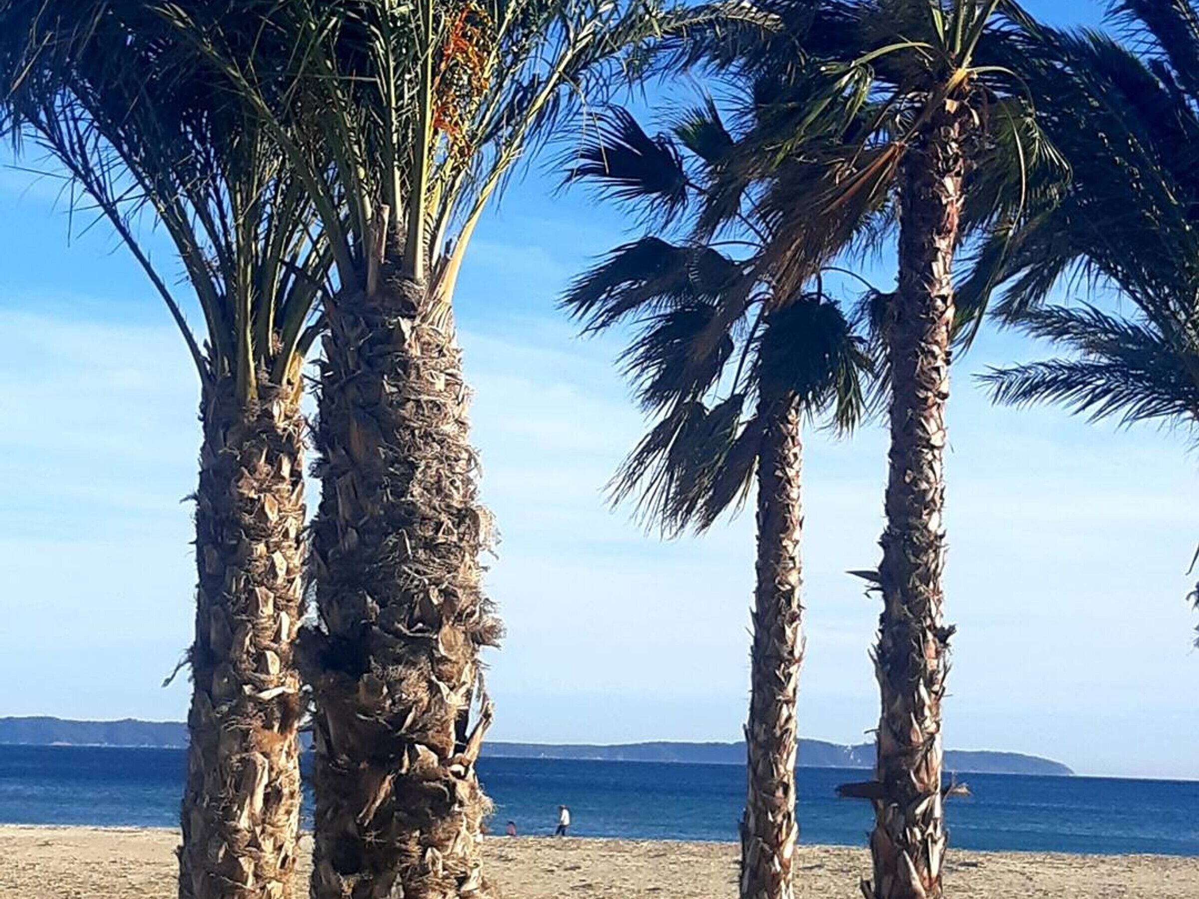 Playa en los alrededores 