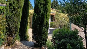 Two tall, slender trees in a garden setting with a clear sky and a building in the background. - Entire private gîte (Lédenon)