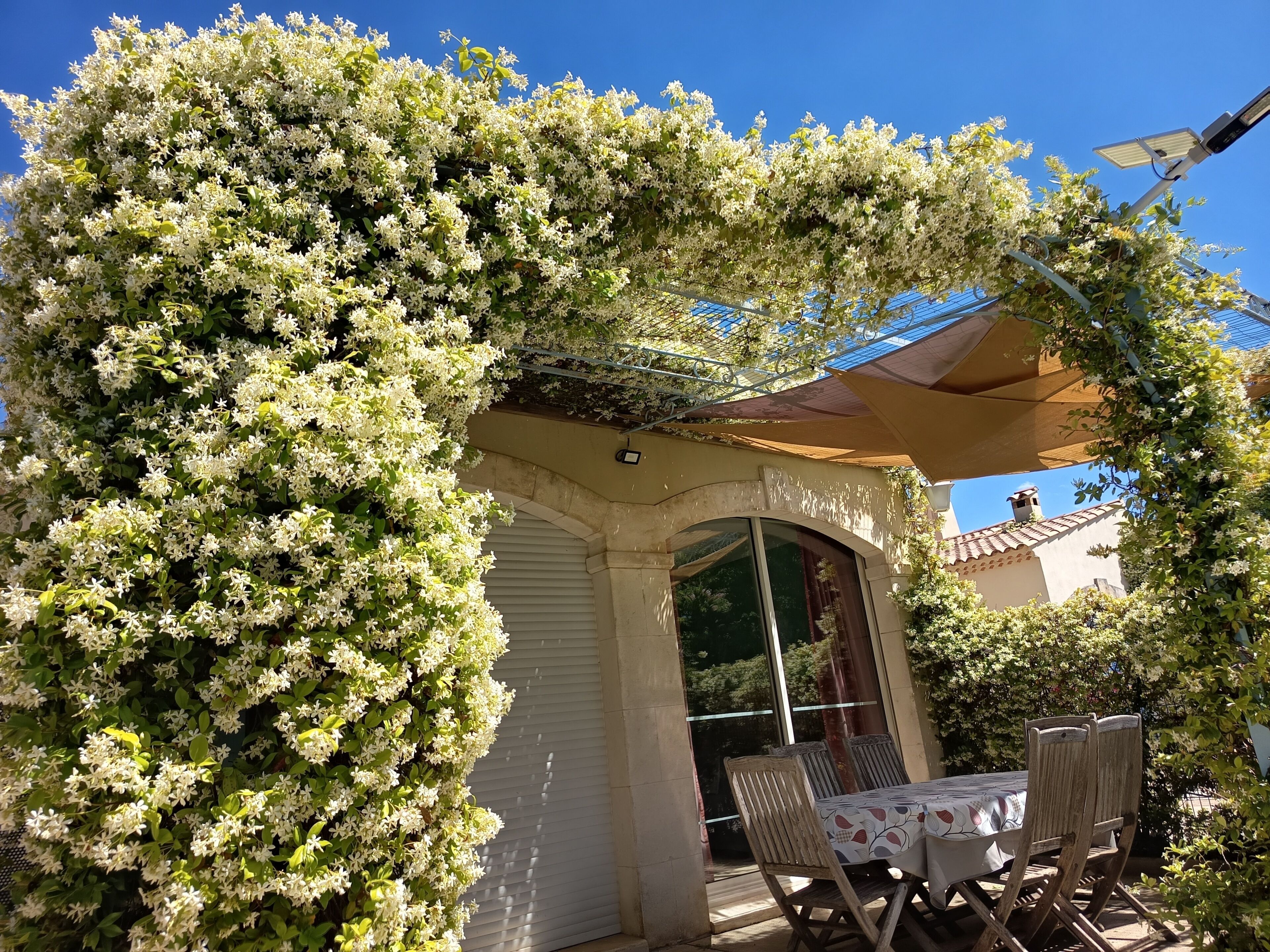 An outdoor seating area with a table and chairs under a pergola covered with flowering vines.