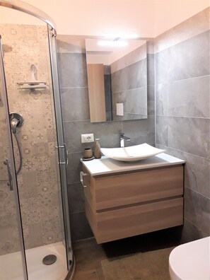 Shower, hair dryer, bidet, towels