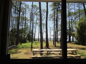Vista a través de una ventana de un parque con árboles altos y mesas de picnic.