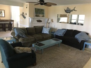 Smart TV, DVD player, books, video library