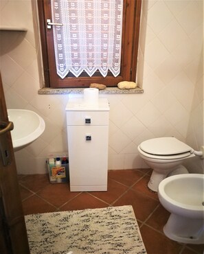 Regadera, secadora de cabello, bidet 