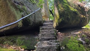 Un escalier en pierre menant à un sentier rocailleux, bordé de verdure.