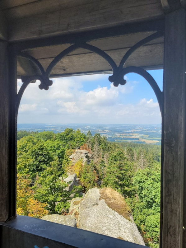 Vista dalla struttura