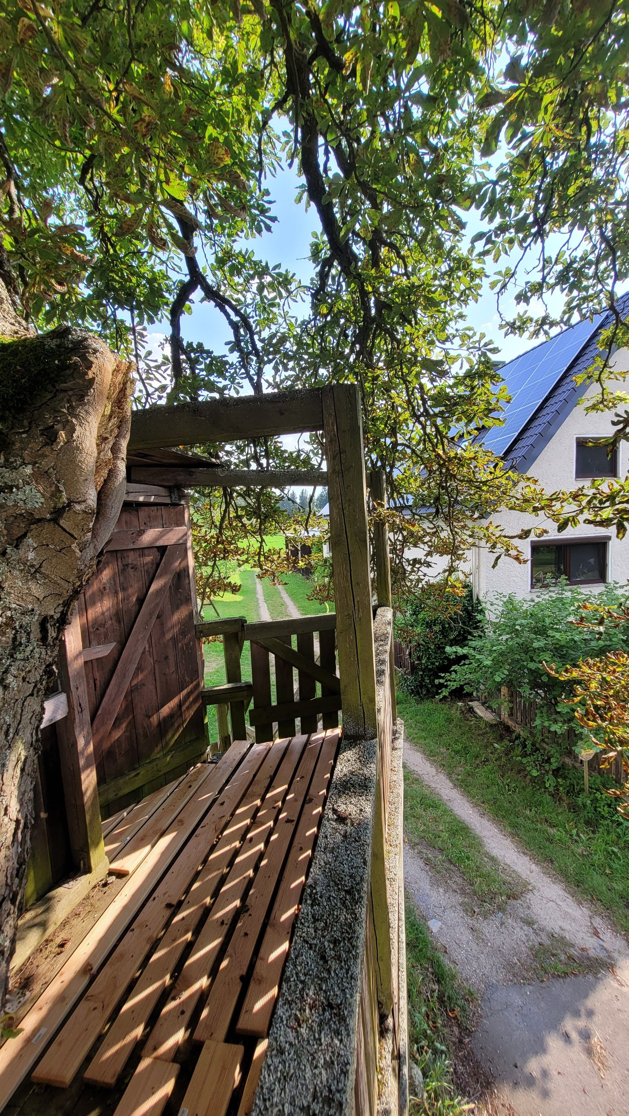 Àrea exterior de l'allotjament