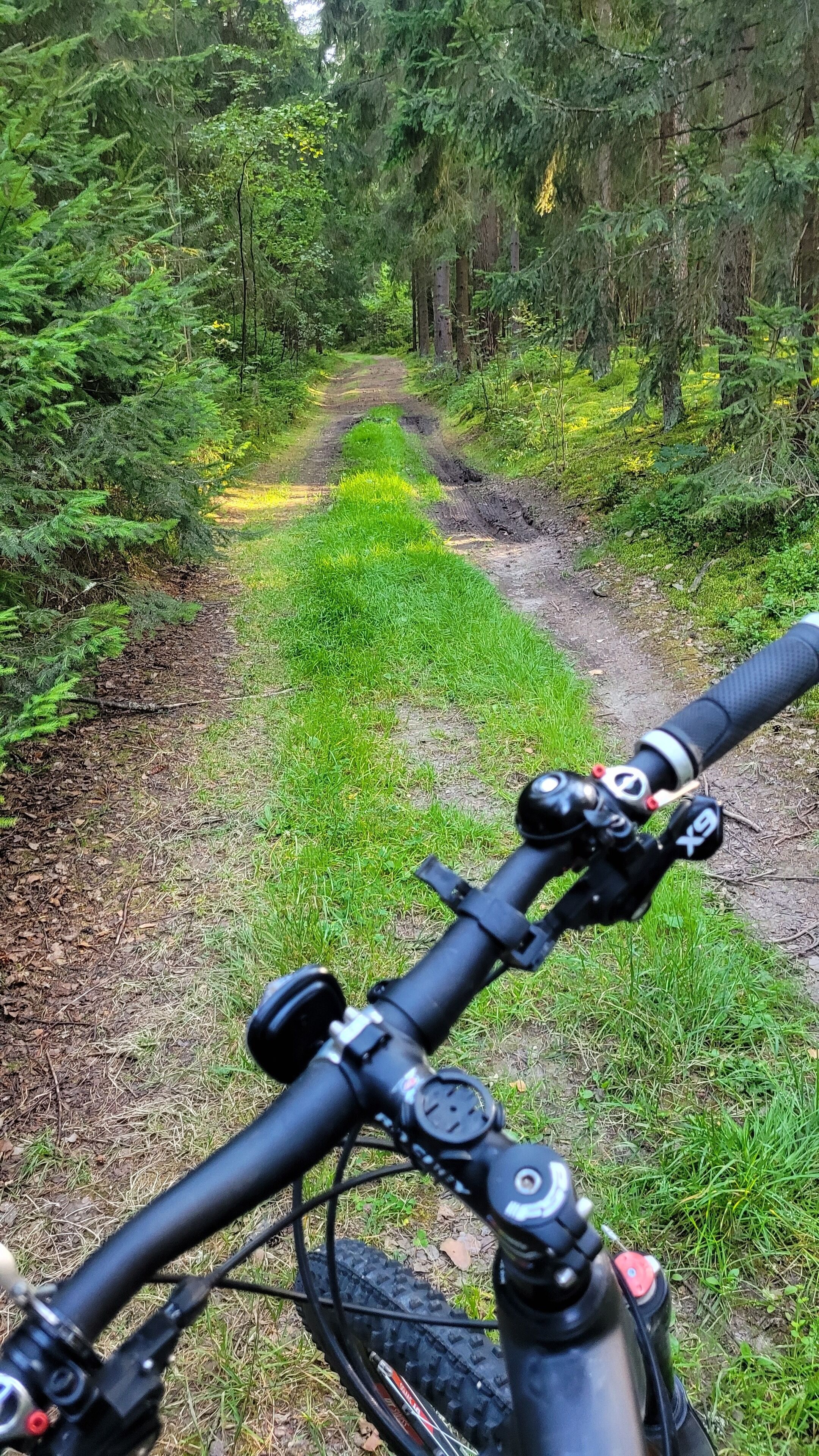 A mountain bike's handlebars and front wheel on a dirt trail surrounded by dense forest.