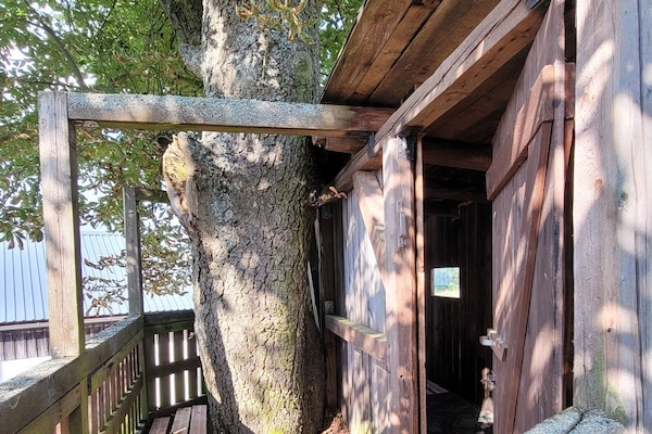 Enceinte de l’hébergement