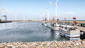 Un puerto deportivo con barcos amarrados, una costa rocosa y aerogeneradores al fondo.