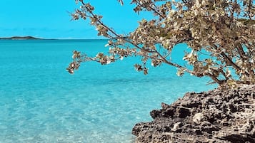 Accommodatie ligt op het strand, ligstoelen, strandlakens