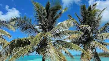 Plage, chaises longues, serviettes de plage