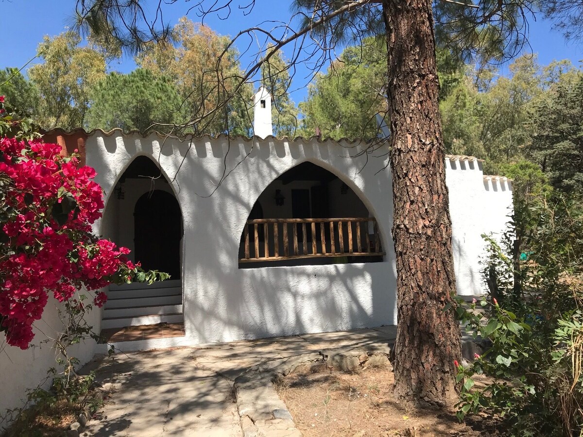 オーナーのプロフィール画像