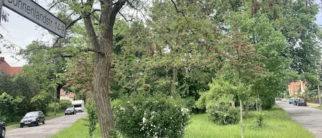 Boendeområde